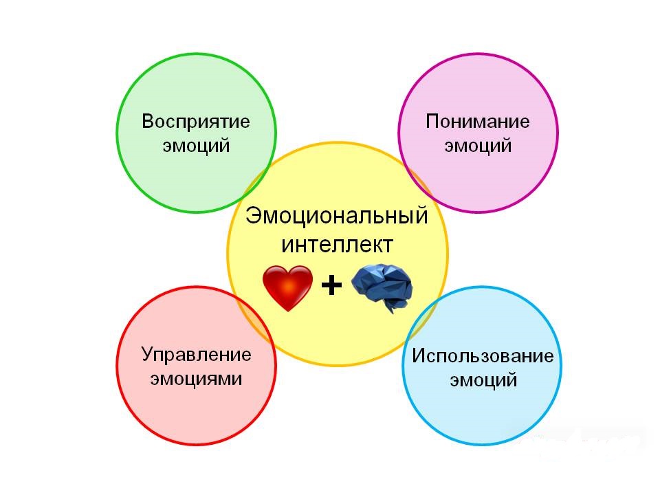 Работа с эмоциями на проекте Феникс