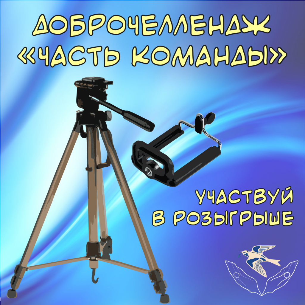 ДоброЧеллендж «Часть команды!»